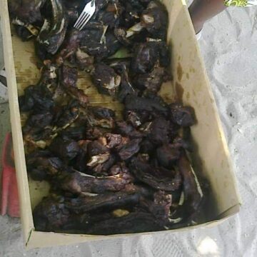 dog meat Ombelela yombwa kOmuthiya otai monika kolunguto