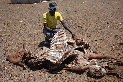 drought 4 Govt rolls out drought relief efforts