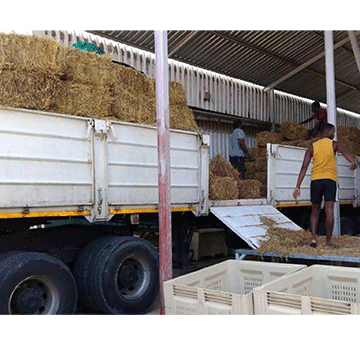 drought Nashandi encourages farmers to apply for drought relief