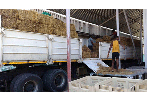 drought Nashandi encourages farmers to apply for drought relief