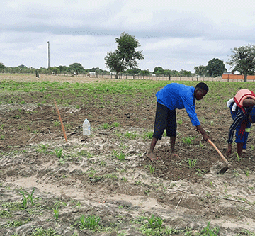 drought relief programme Aanamapya ya hala eyambidhidho lyiikulya sho inaaya likola sha