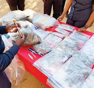drugs N$1.7m worth of drugs confiscated in April