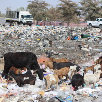 dumpsite 1 1 Iimuna tayi hupile momatoto