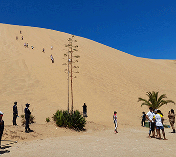 Dune 7 under new management