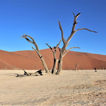 dunes Shifeta cancels pay-to-use desert road