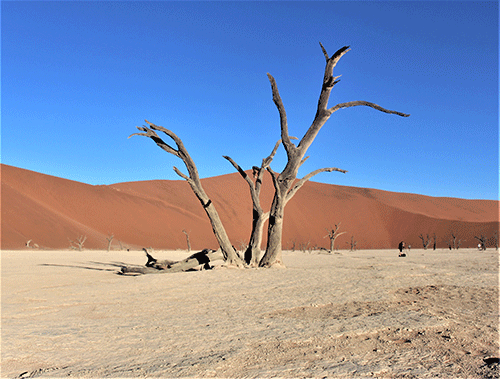 dunes NWR, Shifeta negotiate train concession