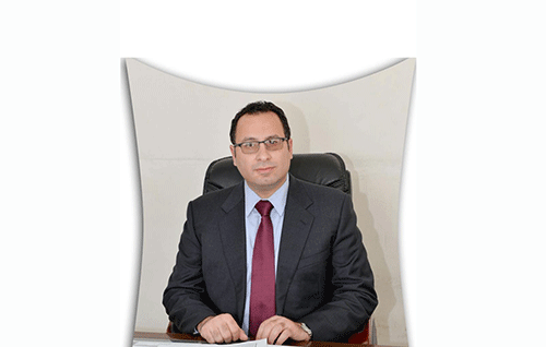 egypt interview On the spot – Egypt carries Africa’s vision at COP27