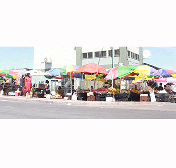 elections Opuwo, Katima by-elections cost N$2.5m