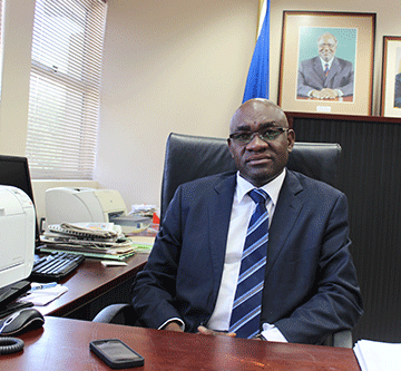 elephants 2 Govt tramples elephant auction criticism