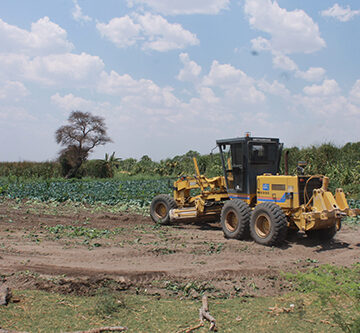 employment 2 Agro-processing dream still elusive