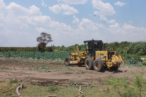 employment 2 Agro-processing dream still elusive