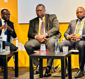 energy Nedbank to continue renewable energy financing