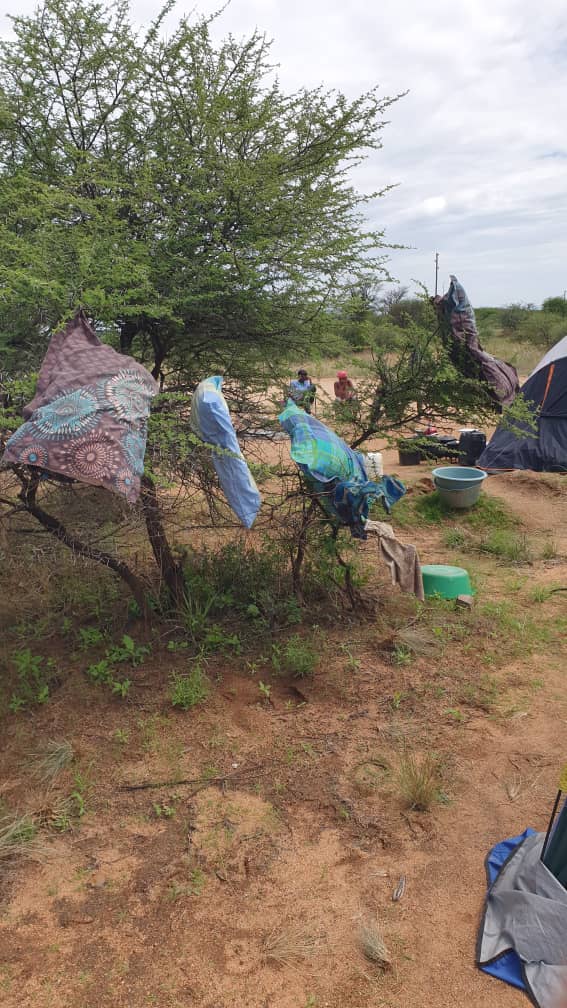 erindi strike 1 Erindi workers threaten strike…bemoan ‘apartheid’ working conditions