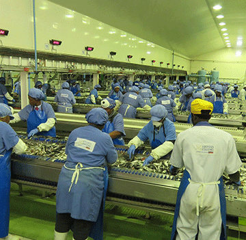 etosha 1 Etosha kapi vana kutwikira kuhorako varugani vawo