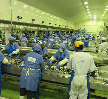 etosha 3 Etosha to restart operations soon