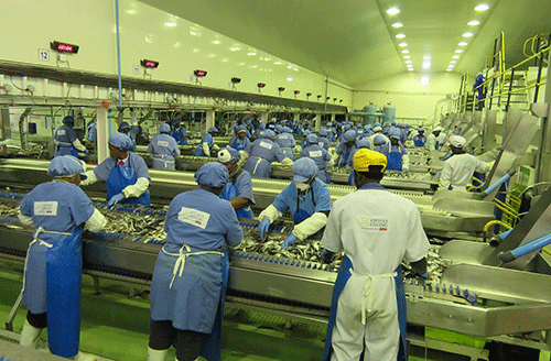 etosha 3 Etosha to restart operations soon