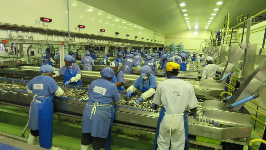 Pilchard moratorium could sink Etosha Fishing…480 workers face the chop