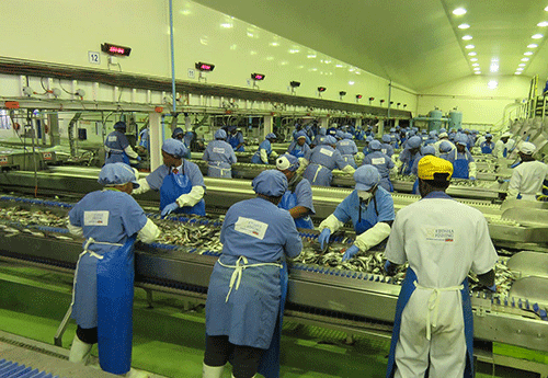 etosha Etosha U-turns on retrenchment plan