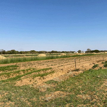 etunda dry Etunda irrigation sinks…small-scale farmers struggle to make ends meet