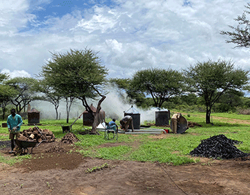 eu Namibian exports to EU up