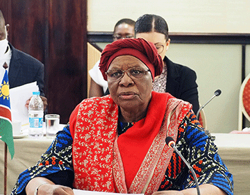 eu Namibia drums up green hydrogen support…invites Europeans to invest