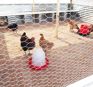 Evango lyovanadorongo moHardap kuna turapo projeka zokuweka nonhunhwa