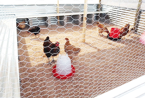 evango Evango lyovanadorongo moHardap kuna turapo projeka zokuweka nonhunhwa