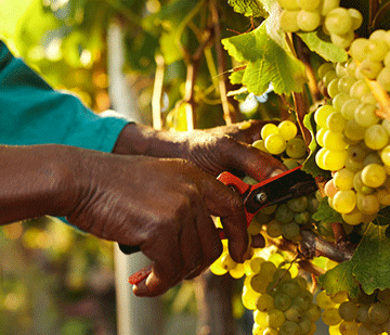 expo Namibia on track to achieve Expo 2020 goals