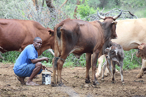 farm workers 1 1 Oshikuku agri-expo to empower local farmers