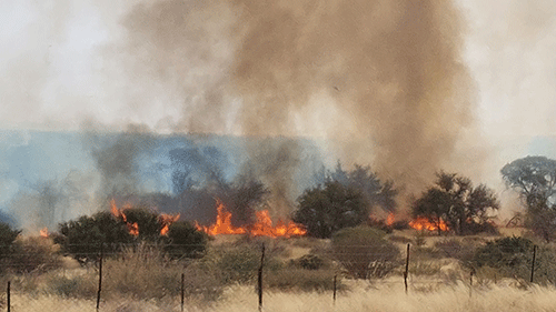 farmers 2 Rehoboth farmers rise through the ashes