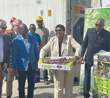 first grapes consignment exported ǂGuro draiwen ge Europab ǁga ge sîǂuihe