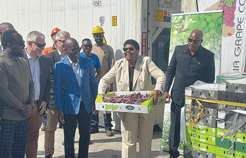 first grapes consignment exported ǂGuro draiwen ge Europab ǁga ge sîǂuihe