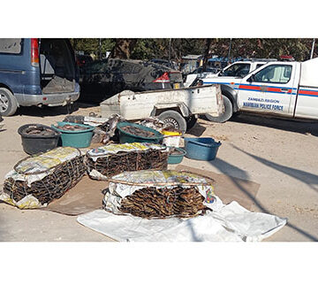 fish 1 Five busted for illegally transporting fish