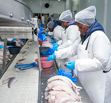 fish exports Namibia’s fish exports hit N$3.4 billion