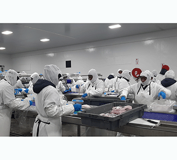 fish factory Merlus injects N$154m into local fisheries