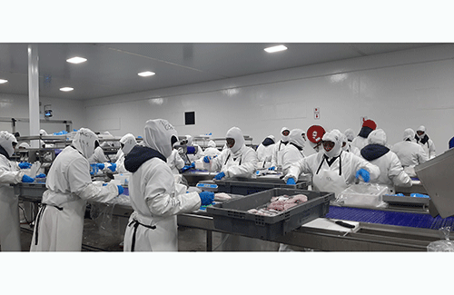 fish factory Merlus injects N$154m into local fisheries