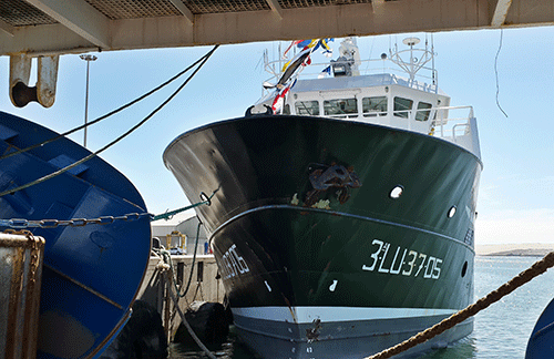 fishcor1 Fishcor clarifies horse mackerel quota deal