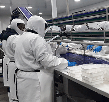 fisheries 1 Fisheries needs N$51m for survey