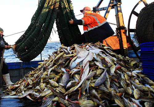 fishing Fishcor still unable to pay outstanding fees