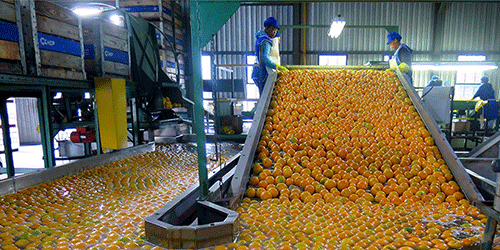food Food industry offers low hanging fruit – !Gawaxab