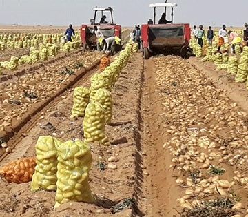 food Schlettwein calls for food to remain affordable