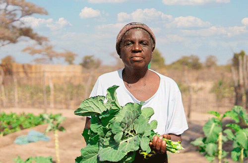 food Capricorn and WFP to host food security workshop