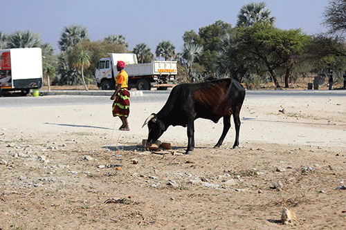food insecurity 600 000 Namibians face food insecurity