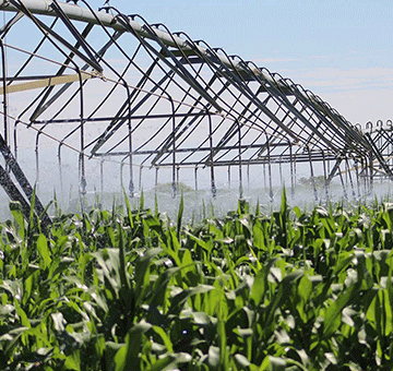 food security Shigwedha: Namibia prioritises food security