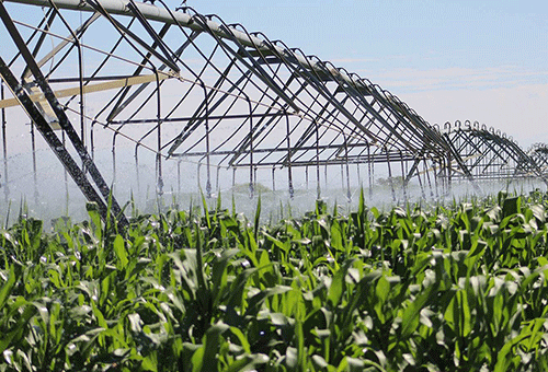 food security Food security is attainable – WFP