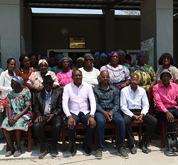 forest1 Integrated climate change adaptation vital – Shifeta