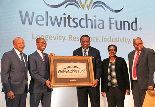 fund No budget allocation for Welwitschia Fund