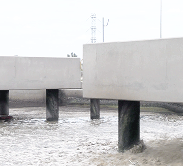 gammams Gammams’ kuna kureta edumba lyedona kovatungimo