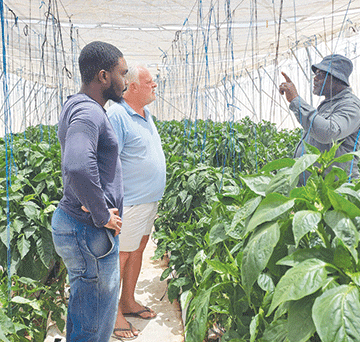 garden 1 Khowarib Green Scheme revived