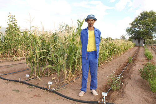 garden Ommamas garden grows vegetables, hope
